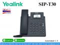 IP Phone