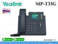 IP Phone