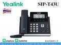 IP Phone